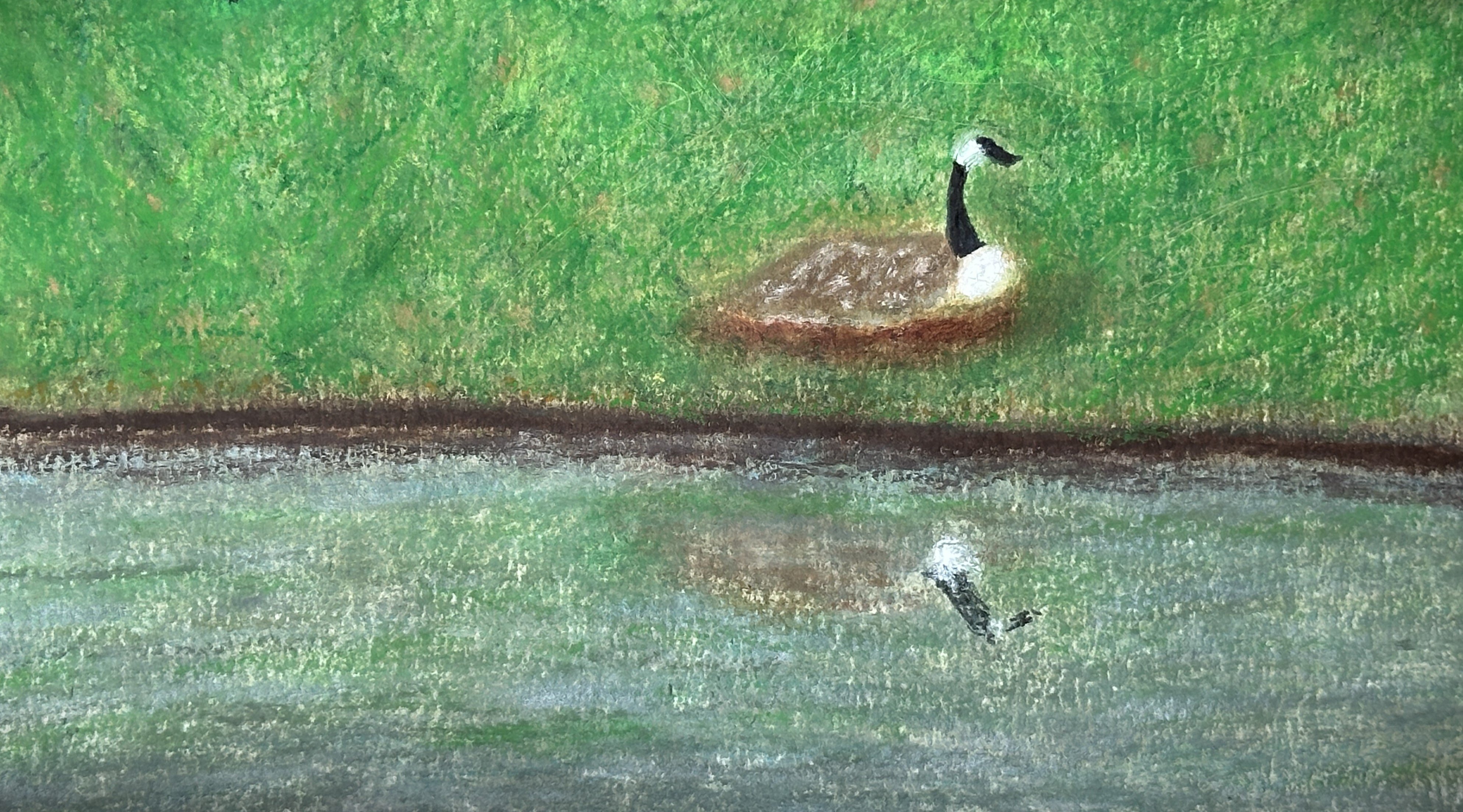 Mother Goose Reflecting